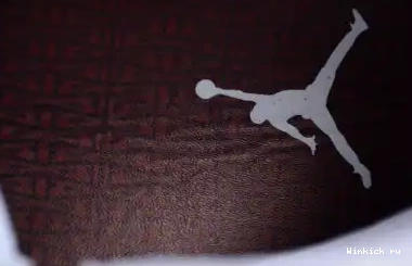12 Jordan A Ma Manière Air “White” x 0529